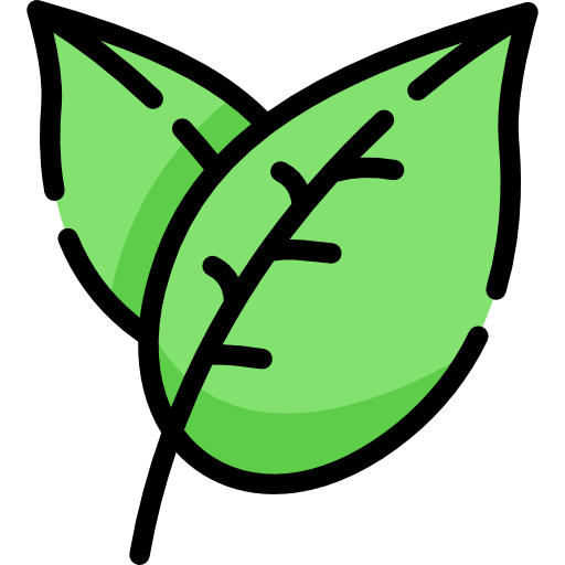 Planta